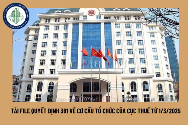 Tải file Quyết định 381 về cơ cấu tổ chức của Cục Thuế từ 1/3/2025