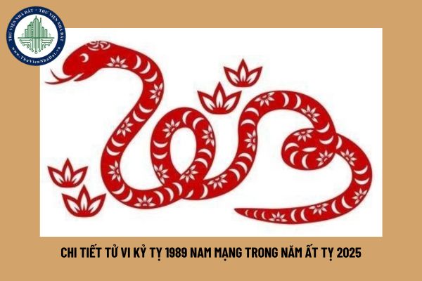 Chi tiết tử vi Kỷ Tỵ 1989 nam mạng trong năm Ất Tỵ 2025