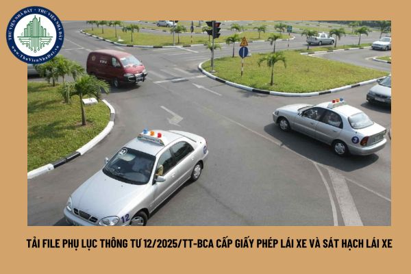 Tải file phụ lục Thông tư 12/2025/TT-BCA cấp giấy phép lái xe và sát hạch lái xe