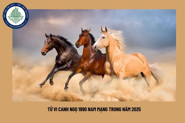 Tử vi Canh Ngọ 1990 nam mạng trong năm 2025