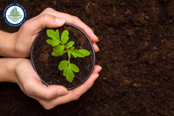 Chất lượng đất là gì? Việc điều tra, lấy mẫu đất phục vụ đánh giá chất lượng đất, tiềm năng đất đai được thực hiện thế nào?