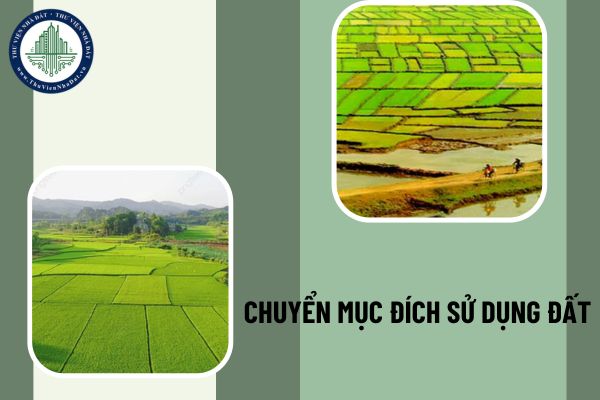 Những lưu ý khi chuyển mục đích sử dụng đất theo quy định hiện hành