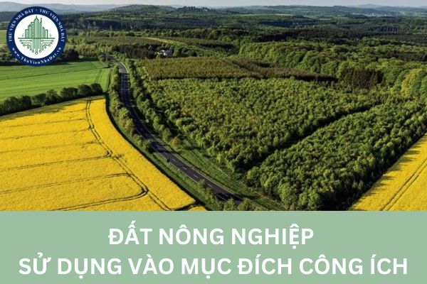 Đất nông nghiệp sử dụng vào mục đích công ích không được cấp sổ đỏ