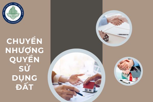 03 trường hợp nào không được nhận chuyển nhượng quyền sử dụng đất năm 2025