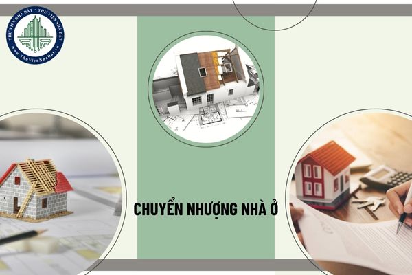 Cá nhân chuyển nhượng nhà ở có được xem là kinh doanh bất động sản quy mô nhỏ không? 