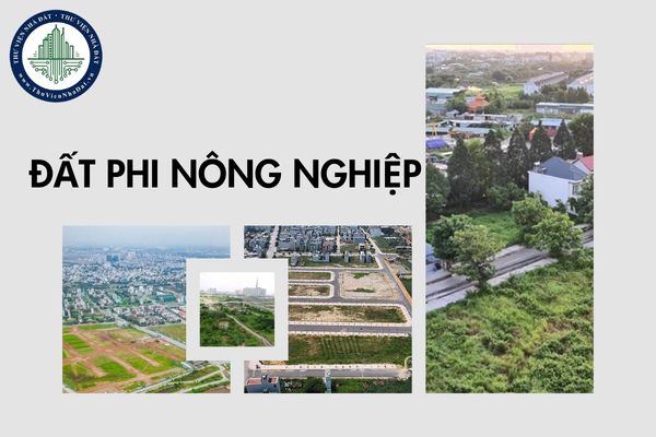 Điểm mới về giá đất khi tính thuế sử dụng đất phi nông nghiệp năm 2025