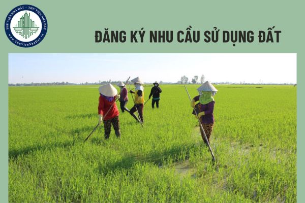 Chuyển mục đích sử dụng đất từ đất trồng lúa sang đất thương mại, dịch vụ có bắt buộc đăng ký nhu cầu sử dụng đất?