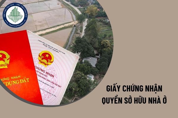 Chủ sở hữu nhà ở không có quyền sử dụng đất được cấp giấy chứng nhận quyền sở hữu nhà ở không?