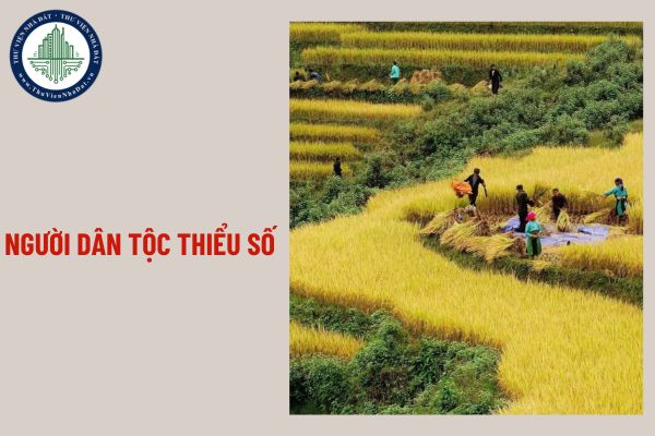 Người dân tộc thiểu số có được miễn, giảm tiền sử dụng đất không?