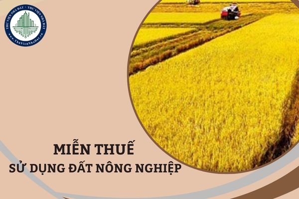 Thời hạn miễn thuế sử dụng đất nông nghiệp được quy định thế nào?