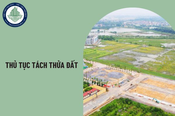 Khi thực hiện thủ tục tách thửa đất thì bắt buộc phải tách đôi phần diện tích đất?