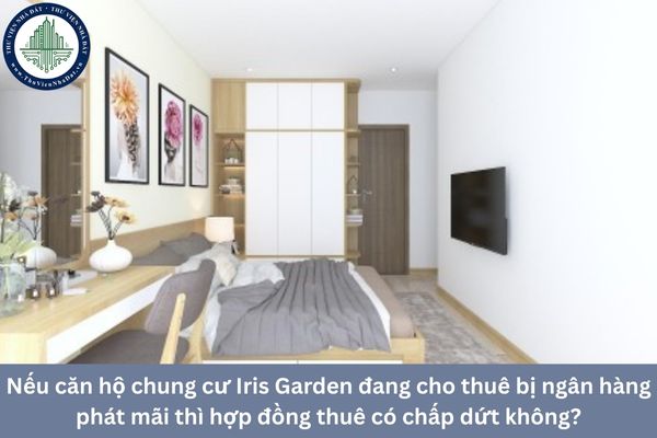 Nếu căn hộ chung cư Iris Garden đang cho thuê bị ngân hàng phát mãi thì hợp đồng thuê có chấp dứt không?