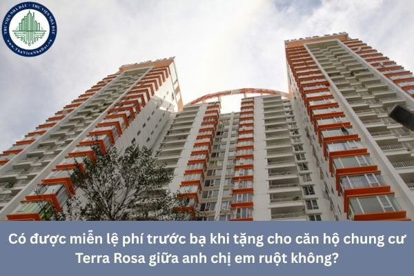 Có được miễn lệ phí trước bạ khi tặng cho căn hộ chung cư Terra Rosa giữa anh chị em ruột không?