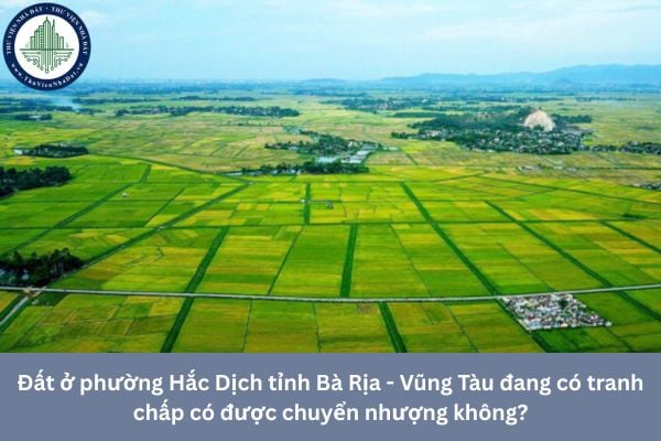 Đất ở phường Hắc Dịch tỉnh Bà Rịa - Vũng Tàu đang có tranh chấp có được chuyển nhượng không?