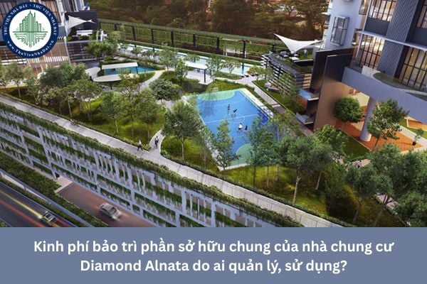 Kinh phí bảo trì phần sở hữu chung của nhà chung cư Diamond Alnata do ai quản lý, sử dụng?