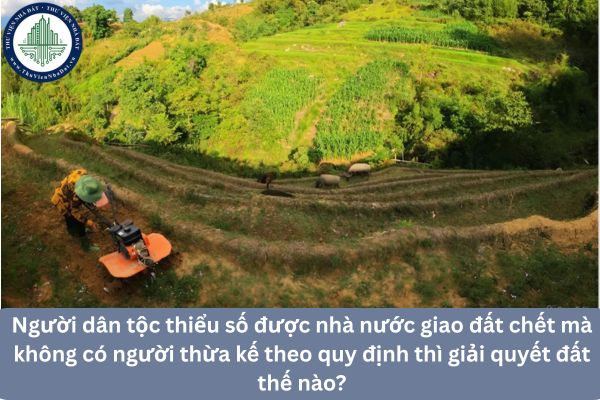 Người dân tộc thiểu số được nhà nước giao đất chết mà không có người thừa kế theo quy định thì giải quyết đất thế nào?