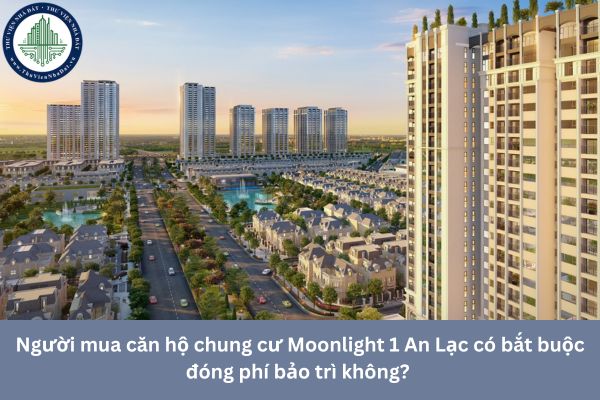 Người mua căn hộ chung cư Moonlight 1 An Lạc có bắt buộc đóng phí bảo trì không? 