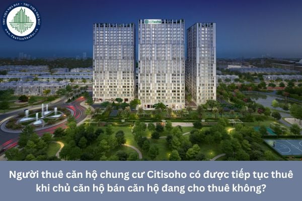 Người thuê căn hộ chung cư Citisoho có được tiếp tục thuê khi chủ căn hộ bán căn hộ đang cho thuê không?
