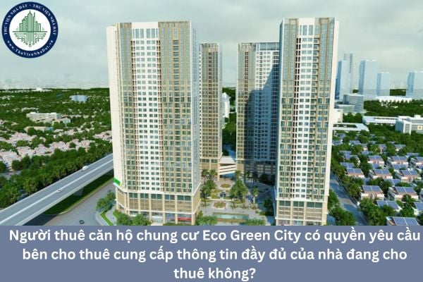 Người thuê căn hộ chung cư Eco Green City có quyền yêu cầu bên cho thuê cung cấp thông tin đầy đủ của nhà đang cho thuê không?