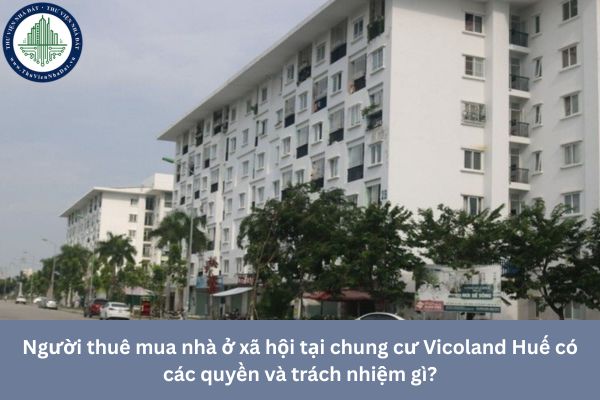 Người thuê mua nhà ở xã hội tại chung cư Vicoland Huế có các quyền và trách nhiệm gì?