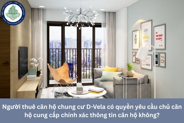 Người thuê căn hộ chung cư D-Vela có quyền yêu cầu chủ căn hộ cung cấp chính xác thông tin căn hộ không?