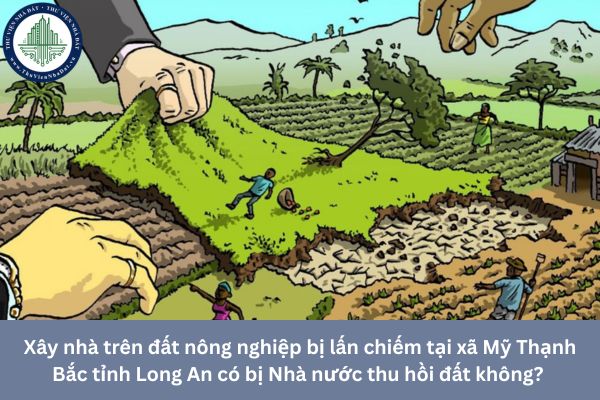 Xây nhà trên đất nông nghiệp bị lấn chiếm tại xã Mỹ Thạnh Bắc tỉnh Long An có bị Nhà nước thu hồi đất không? 