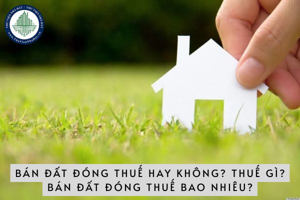 Bán đất đóng thuế hay không? Nếu có thì thuế gì? Bán đất đóng thuế bao nhiêu?