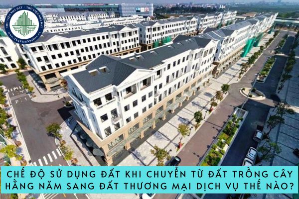 Chế độ sử dụng đất khi chuyển mục đích sử dụng đất từ đất trồng cây hằng năm sang đất thương mại dịch vụ thế nào?