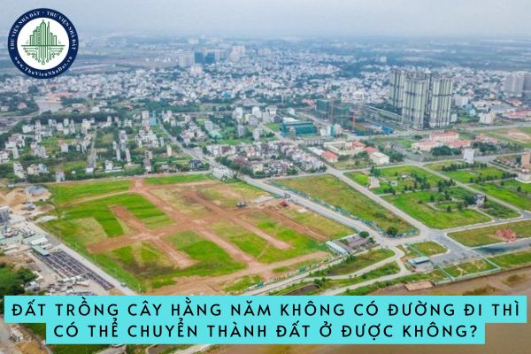 Đất trồng cây hằng năm không có đường đi thì có thể chuyển thành đất ở được không?