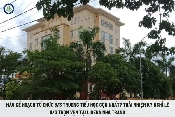 Chi tiết danh sách 20 chi cục thuế khu vực theo Quyết định 381 sáp nhập từ cục thuế 63 tỉnh thành?