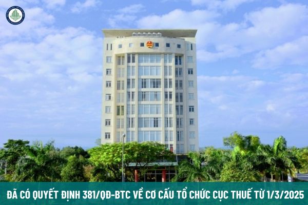 Đã có Quyết định 381/QĐ-BTC về cơ cấu tổ chức Cục Thuế từ 1/3/2025