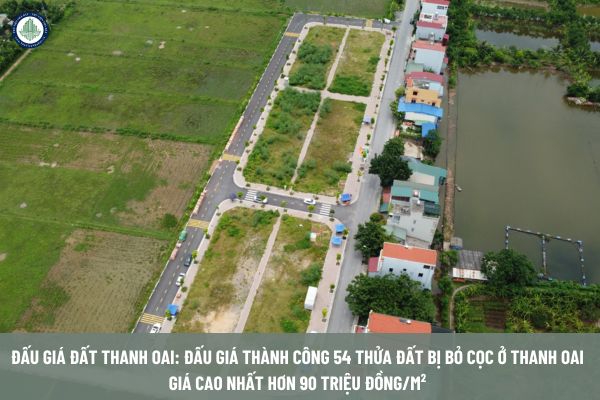 Đấu giá đất Thanh Oai: Đấu giá thành công 54 thửa đất bị bỏ cọc ở Thanh Oai giá cao nhất hơn 90 triệu đồng/m²