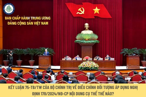 Kết luận 75 TB TW của Bộ Chính trị về điều chỉnh đối tượng áp dụng Nghị định 178/2024/NĐ-CP nội dung cụ thể thế nào?