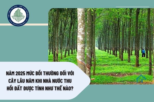 Năm 2025 mức bồi thường đối với cây lâu năm khi nhà nước thu hồi đất được tính như thế nào?