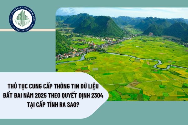 Thủ tục cung cấp thông tin dữ liệu đất đai năm 2025 theo Quyết định 2304 tại cấp tỉnh ra sao?