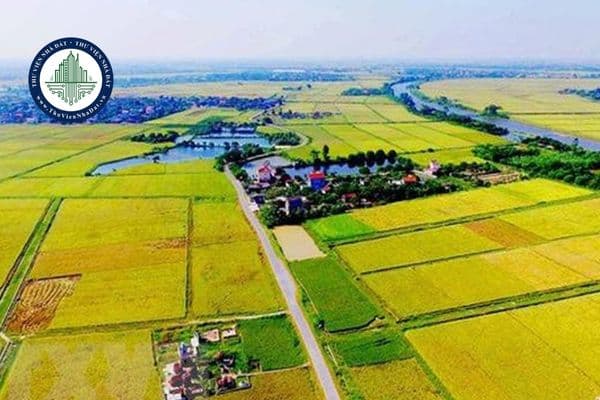 https://cdn.thuviennhadat.vn/upload/hinh-anh-bai-viet/NHDT/dat-dai%20(3)%20(1).jpg
