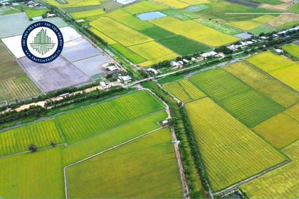 Thủ tục xác nhận tiếp tục sử dụng đất nông nghiệp tại TPHCM từ 01/7/2025