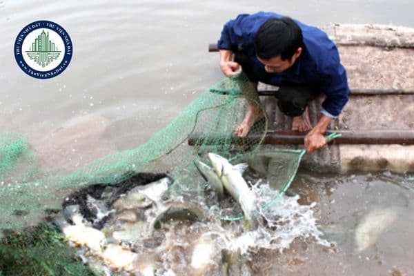 Bồi thường thiệt hại vật nuôi khi thu hồi đất tại Hà Nội (Quyết định 43/2025/QĐ-UBND)