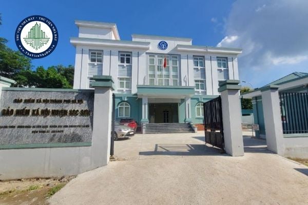 thuviennhadat.vn