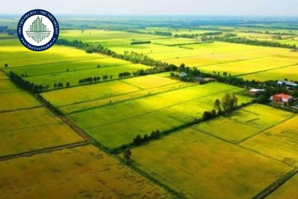 Đề xuất sửa đổi quy định cho thuê đất theo Dự thảo Luật sửa đổi Luật Đất đai 2024
