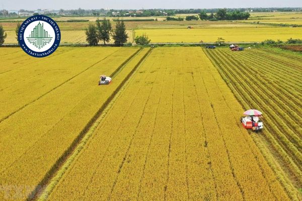 Nghệ An ban hành quy định mức nộp tiền khi chuyển đất trồng lúa sang đất phi nông nghiệp (Quyết định 44/2025/QĐ-UBND)
