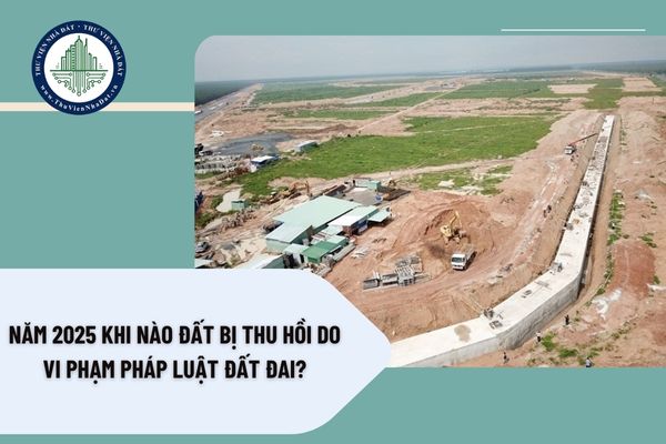 Năm 2025 khi nào đất bị thu hồi do vi phạm pháp luật đất đai? Không đóng tiền sử dụng đất thì có bị thu hồi đất hay không?