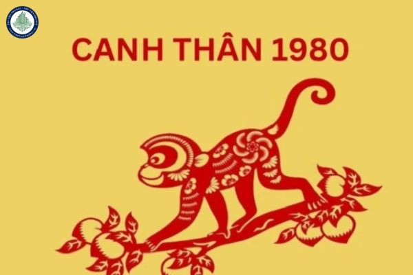 Tử vi tháng 3/2025 Tuổi thân 1980? Canh Thân 1980 có nên mua đất tại Nho Quan Ninh Bình năm 2025 không?