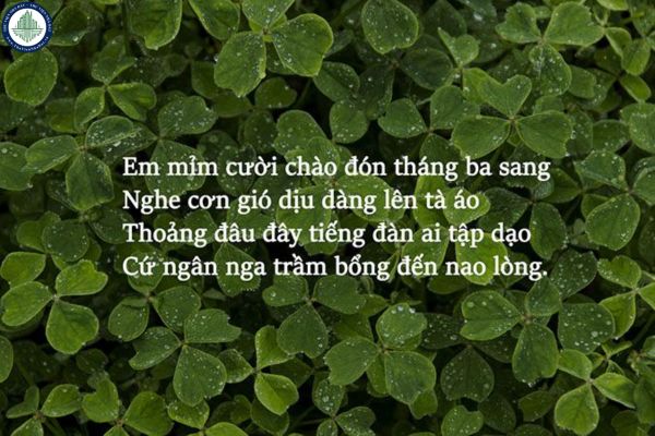 Tuyển tập thơ về tháng 3 hay nhất? Chọn thơ hay chọn đầu tư mở cửa hàng tại TP Móng Cái tháng 3/2025?