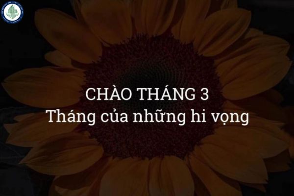 Tổng hợp STT, caption tháng 3 ngắn gọn thú vị? Tháng 3, thời điểm tốt để mua nhà tại TP Quy Nhơn có đúng không?