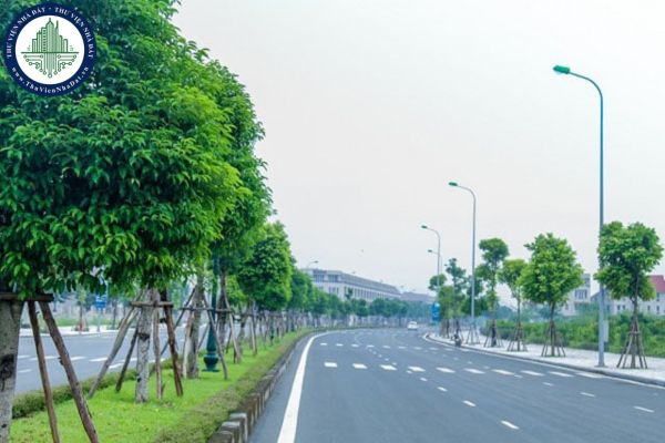 cây xanh đô thị