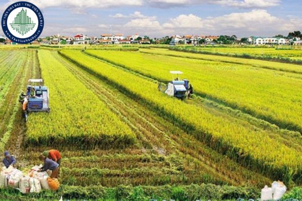 Đất nhận khoán từ nông trường được cấp giấy chứng nhận quyền sử dụng đất theo luật đất đai mới nhất không? 