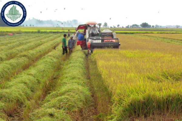 Đất nông nghiệp