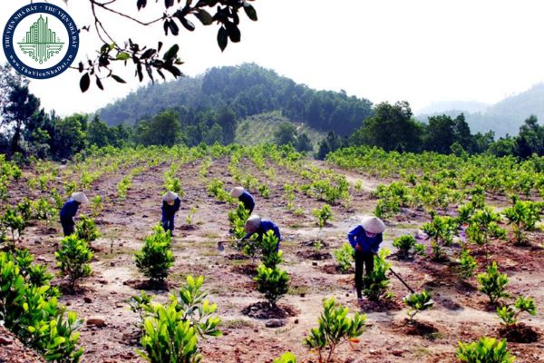 Kinh phí thực hiện trồng rừng thay thế khi chuyển mục đích sử dụng rừng sang mục đích khác do ai nộp?