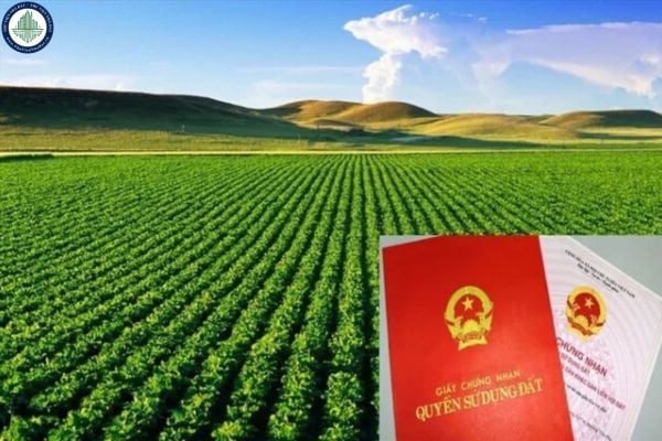 Bảng giá chuyển đổi đất nông nghiệp sang đất thổ cư 2025 tại Lâm Đồng